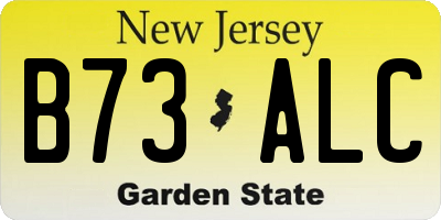 NJ license plate B73ALC