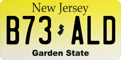 NJ license plate B73ALD
