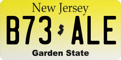 NJ license plate B73ALE