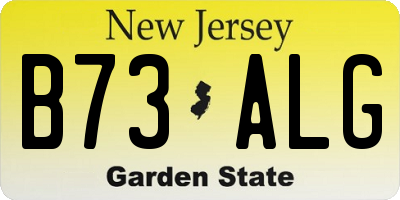 NJ license plate B73ALG