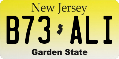 NJ license plate B73ALI