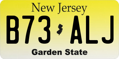 NJ license plate B73ALJ