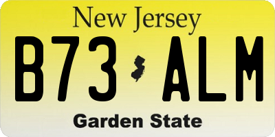 NJ license plate B73ALM