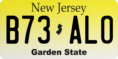 NJ license plate B73ALO
