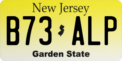 NJ license plate B73ALP