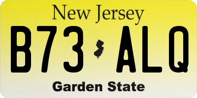 NJ license plate B73ALQ
