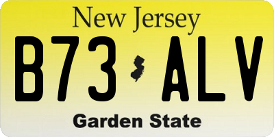 NJ license plate B73ALV