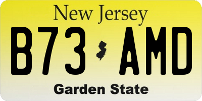 NJ license plate B73AMD
