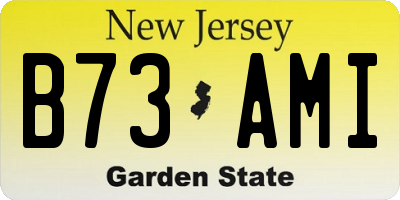 NJ license plate B73AMI
