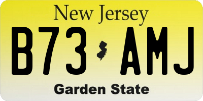 NJ license plate B73AMJ