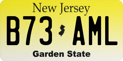 NJ license plate B73AML