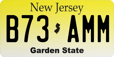 NJ license plate B73AMM