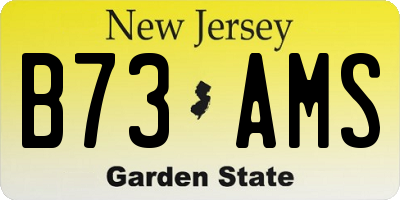 NJ license plate B73AMS