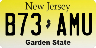 NJ license plate B73AMU