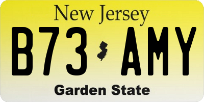 NJ license plate B73AMY