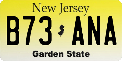 NJ license plate B73ANA