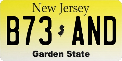 NJ license plate B73AND