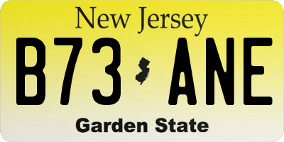 NJ license plate B73ANE