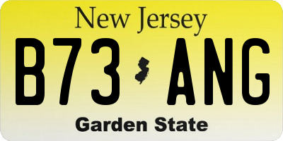 NJ license plate B73ANG