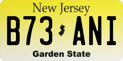 NJ license plate B73ANI