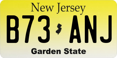 NJ license plate B73ANJ