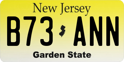 NJ license plate B73ANN
