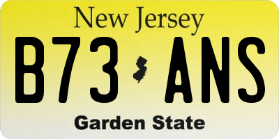 NJ license plate B73ANS
