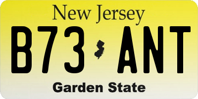 NJ license plate B73ANT