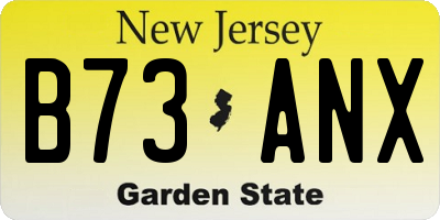 NJ license plate B73ANX