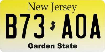 NJ license plate B73AOA