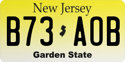 NJ license plate B73AOB