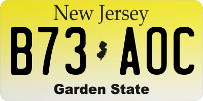 NJ license plate B73AOC