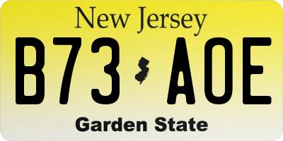 NJ license plate B73AOE