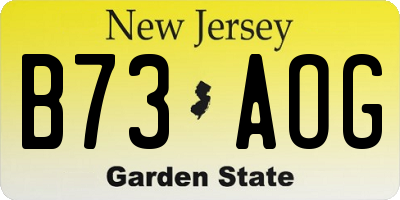 NJ license plate B73AOG