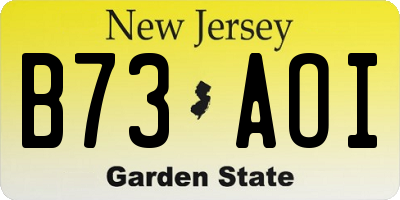 NJ license plate B73AOI