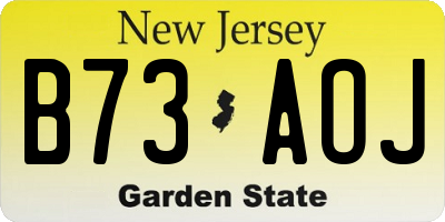 NJ license plate B73AOJ