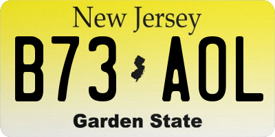 NJ license plate B73AOL