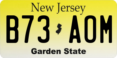 NJ license plate B73AOM