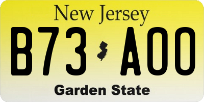 NJ license plate B73AOO