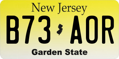 NJ license plate B73AOR