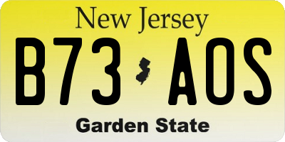 NJ license plate B73AOS