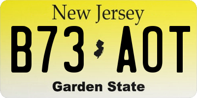NJ license plate B73AOT