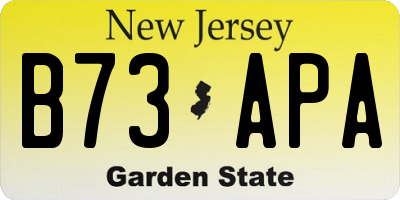 NJ license plate B73APA