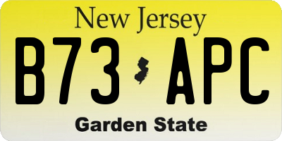 NJ license plate B73APC