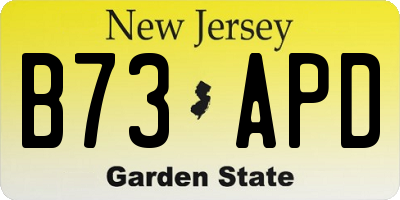 NJ license plate B73APD