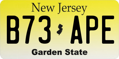 NJ license plate B73APE
