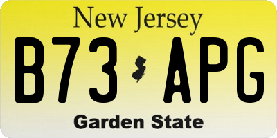 NJ license plate B73APG