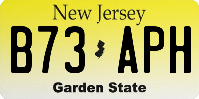 NJ license plate B73APH