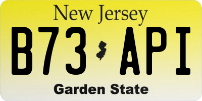 NJ license plate B73API
