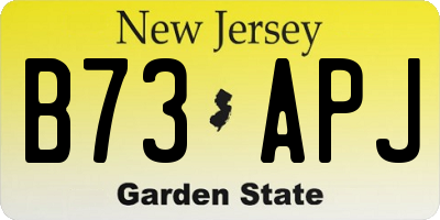 NJ license plate B73APJ
